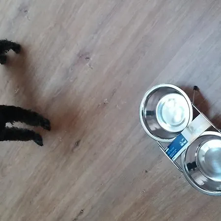 Emanapartmanok Sarvar Sárvár
